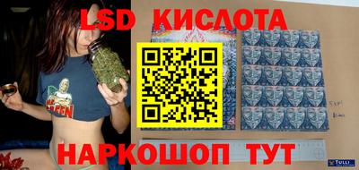 молекула духа Кингисепп