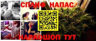 молекула духа Кингисепп