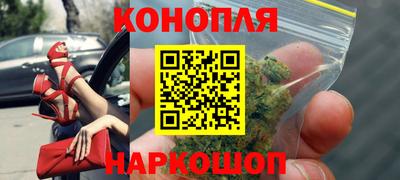 молекула духа Кингисепп