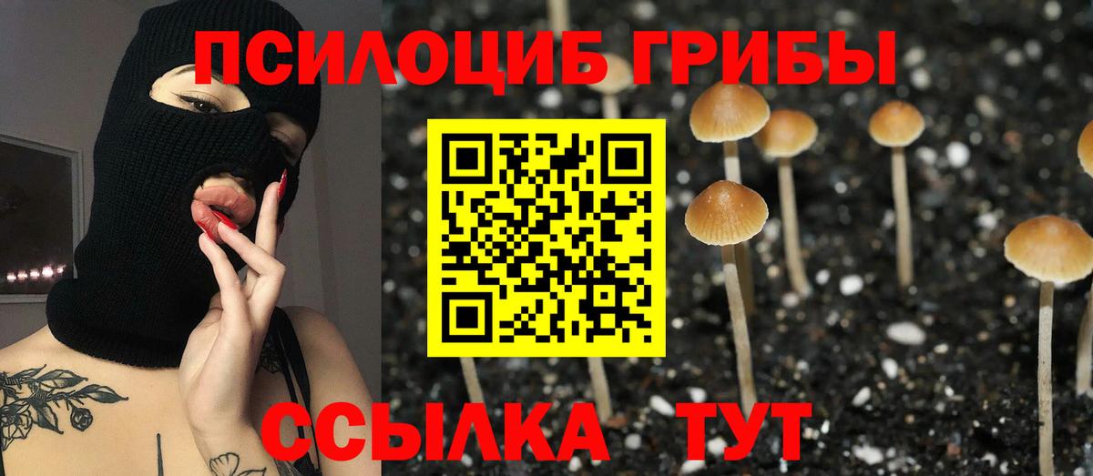 Кохма  Псилоцибиновые грибы мицелий  Псилоцибиновые грибы Cubensis  Вход с VPN 